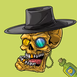 CrazySkull #9822