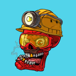 CrazySkull #8095