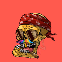 CrazySkull #6350