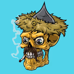 CrazySkull #7111