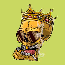 CrazySkull #8900