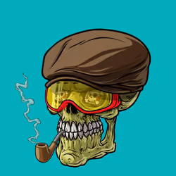 CrazySkull #6921