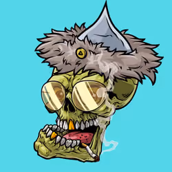 CrazySkull #5153