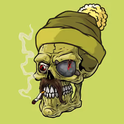 CrazySkull #4742