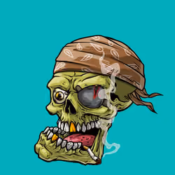 CrazySkull #3628