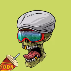 CrazySkull #4227