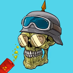 CrazySkull #5276