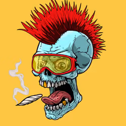 CrazySkull #8933