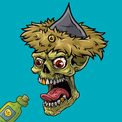 CrazySkull #4934