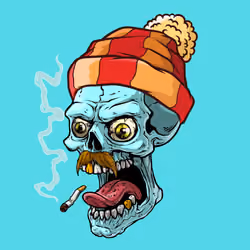 CrazySkull #6364