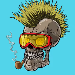 CrazySkull #9773