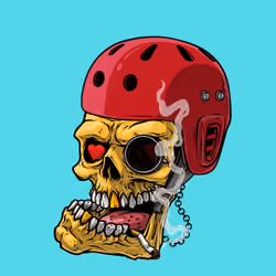 CrazySkull #3535