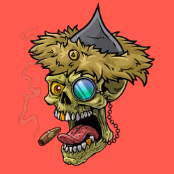 CrazySkull #2392