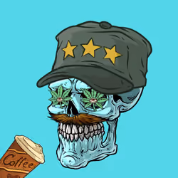 CrazySkull #5821