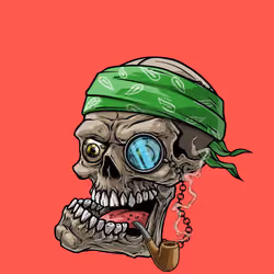 CrazySkull #7485