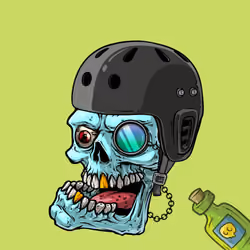 CrazySkull #7746
