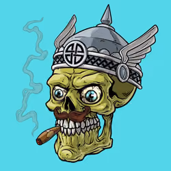 CrazySkull #4496