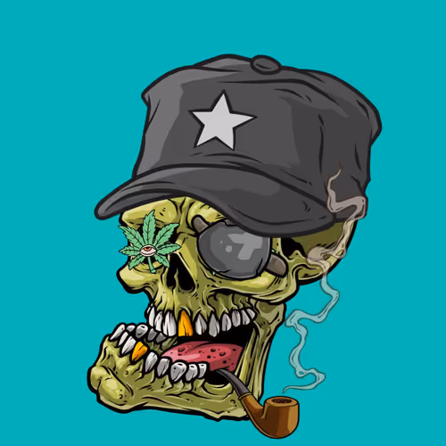 CrazySkull #6582