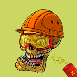 CrazySkull #3886