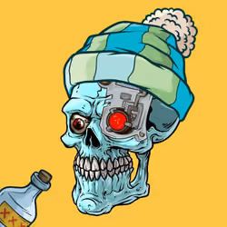 CrazySkull #3238