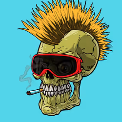 CrazySkull #9515
