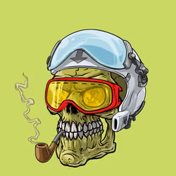 CrazySkull #4425