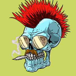 CrazySkull #5966