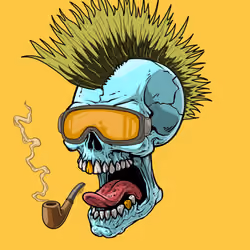 CrazySkull #2355