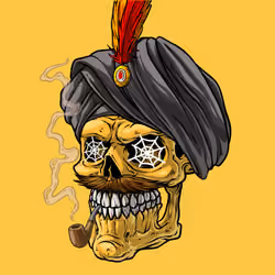 CrazySkull #9988