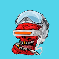 CrazySkull #5262
