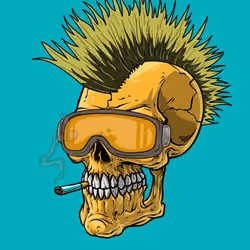 CrazySkull #3874