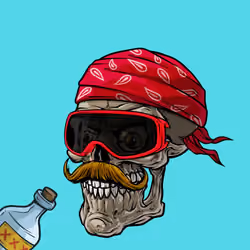 CrazySkull #1875
