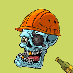 CrazySkull #3807