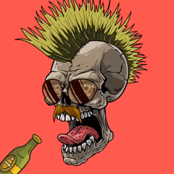 CrazySkull #1723