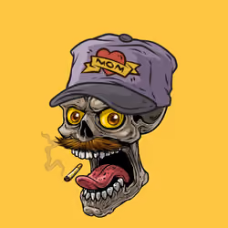 CrazySkull #6654