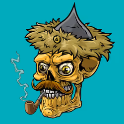 CrazySkull #1525