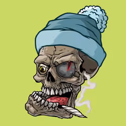 CrazySkull #9230
