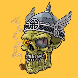 CrazySkull #5061