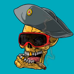 CrazySkull #1704