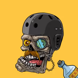CrazySkull #4447