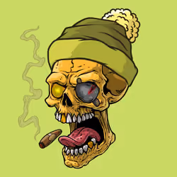 CrazySkull #1992