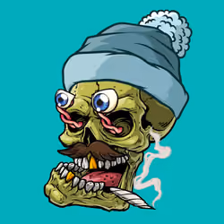 CrazySkull #8337