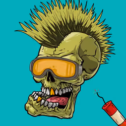 CrazySkull #7263