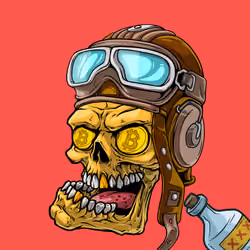CrazySkull #7322