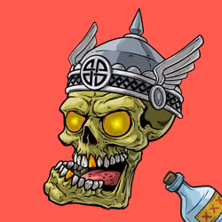 CrazySkull #5348