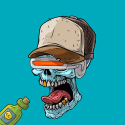 CrazySkull #1713