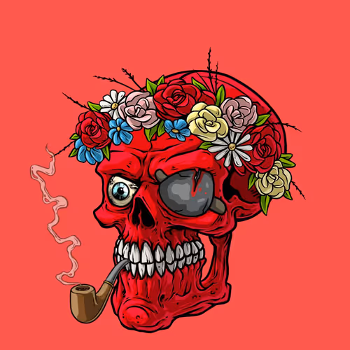 CrazySkull #8258