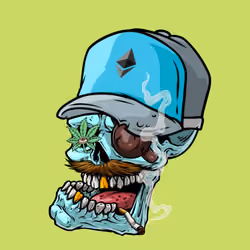 CrazySkull #3148
