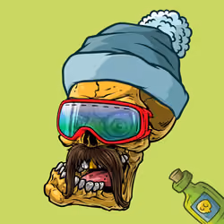 CrazySkull #7441