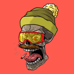 CrazySkull #7949
